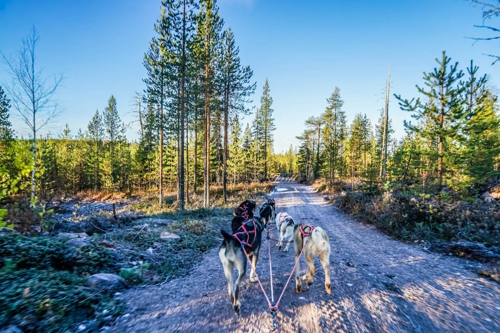 20 Fun Things To Do In Rovaniemi: The Capital of Lapland