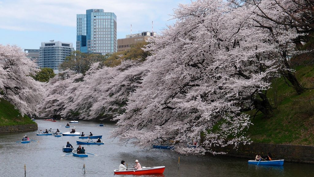 Discovering Hidden Gems And The Best Tokyo Local Experiences