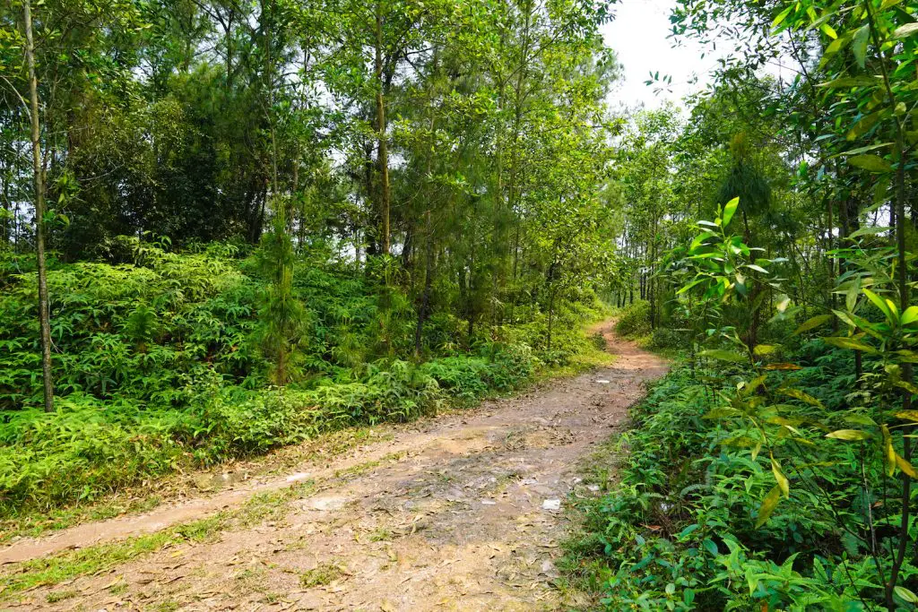  ** abandoned water park ** abandoned theme parks ** what to do in hue vietnam ** suá»‘i tiÃªn amusement park ** abandoned water park hue ** abandoned ** abandoned water park