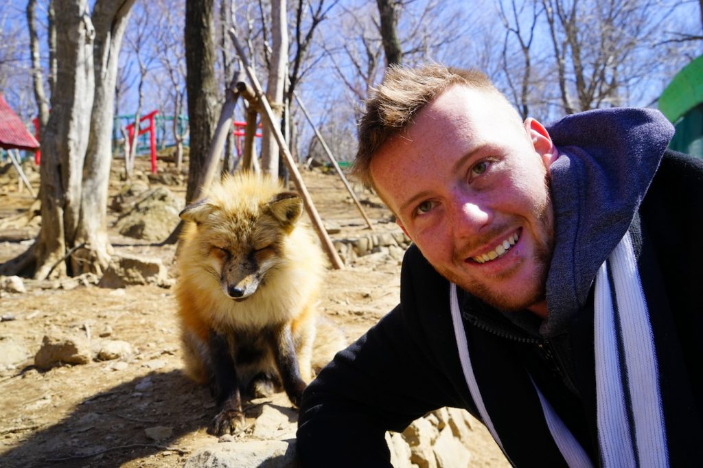 zao japan | japanese red fox | places to visit in japan | fox town japan | best time to visit japan | zao fox village japan | fox village tokyo