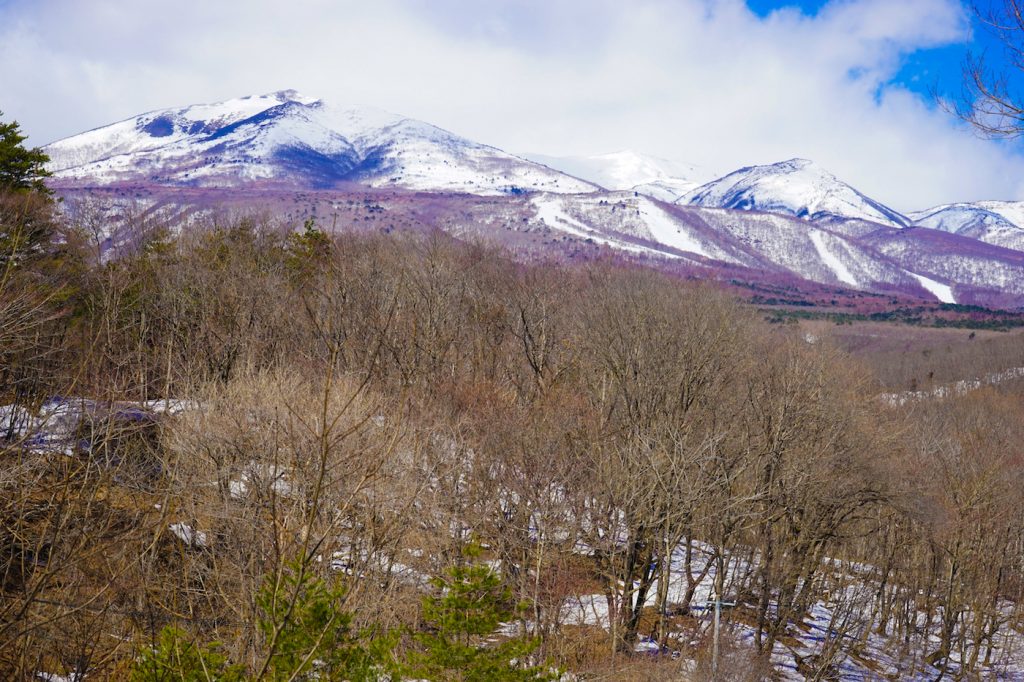 zao fox village from tokyo | fox village japan from tokyo | zao japan fox village | zao village japan | fox japan park | fox village zao japan | tokyo to zao fox village