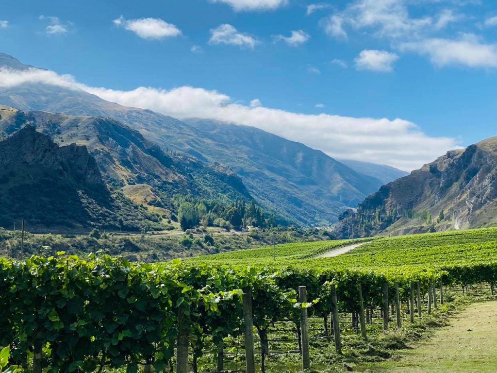 Chard Farm Queenstown