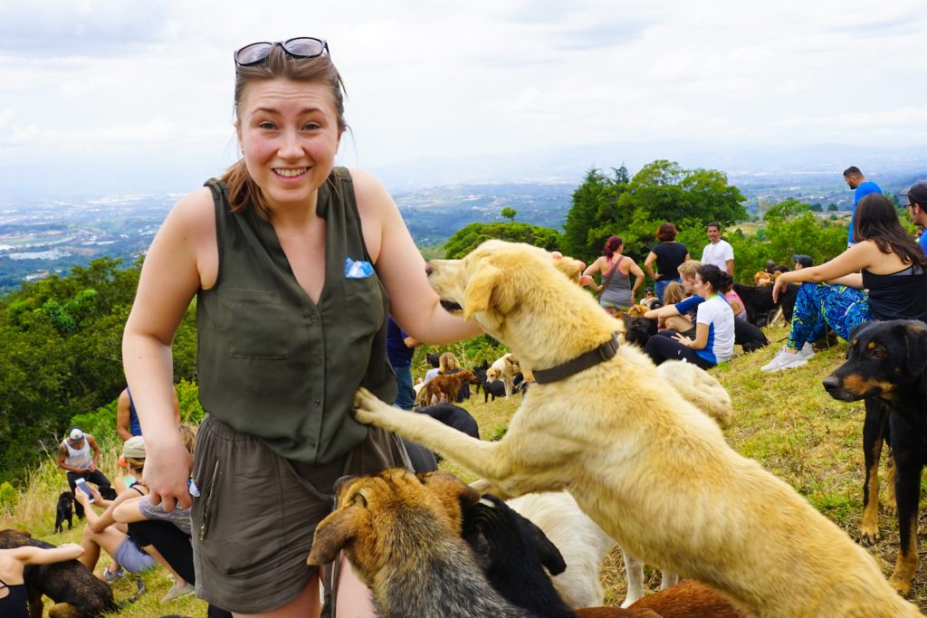 ** land of the stray dogs costa rica ** dog rescue in costa rica ** tierra de zaguates costa rica ** territorio de zaguates visit ** dog island in costa rica 