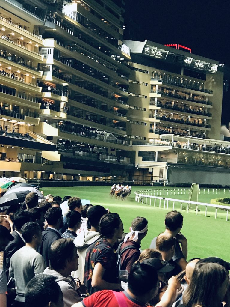  ** horse racing hong kong wednesday ** wednesday night hong kong ** happy wednesday hong kong ** hong kong horse racing wednesday night ** hong kong races wednesday 