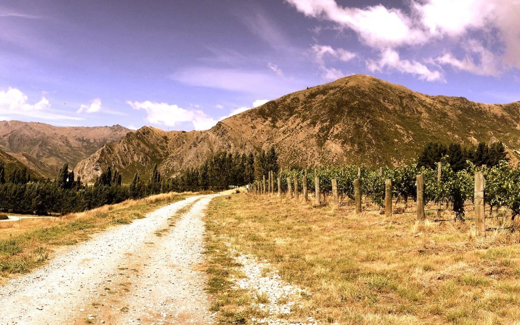 Hawkshead Vineyard** vineyards near queenstown ** new zealand wine tours queenstown ** tours from queenstown nz ** wineries around queenstown ** wineries near queenstown nz ** winery lunch queenstown