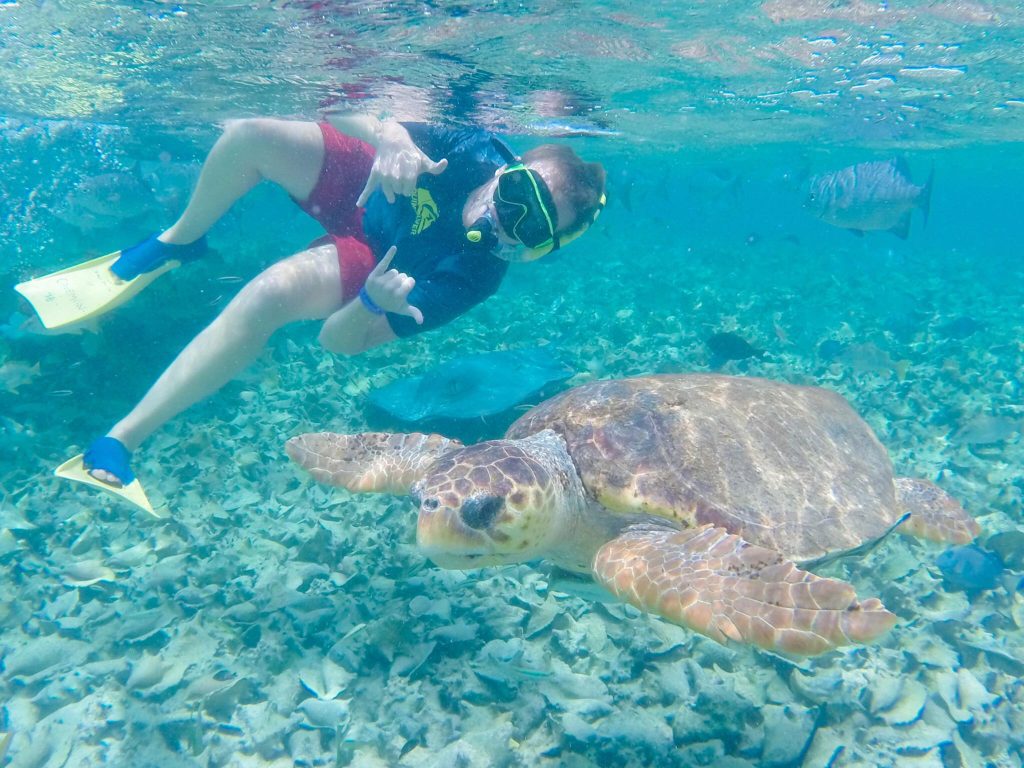 attractions caye caulker ** things to do in caye caulker ** caye caulker hotels ** caye caulker snorkeling ** places to stay in caye caulker ** caye caulker tours ** caye caulker belize ** caye caulker things to do ** 