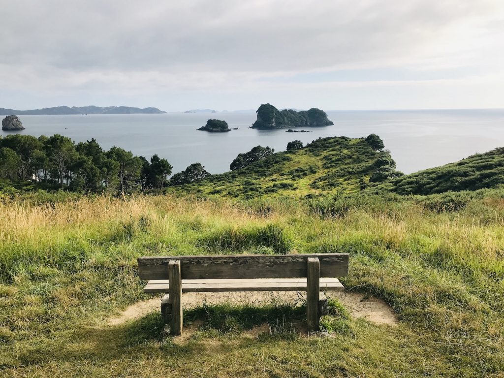 * where is cathedral cove * cathedral cove snorkeling * cathedral cove to auckland * cathedral cove beach new zealand * accommodation near cathedral cove * where is cathedral cove in new zealand *