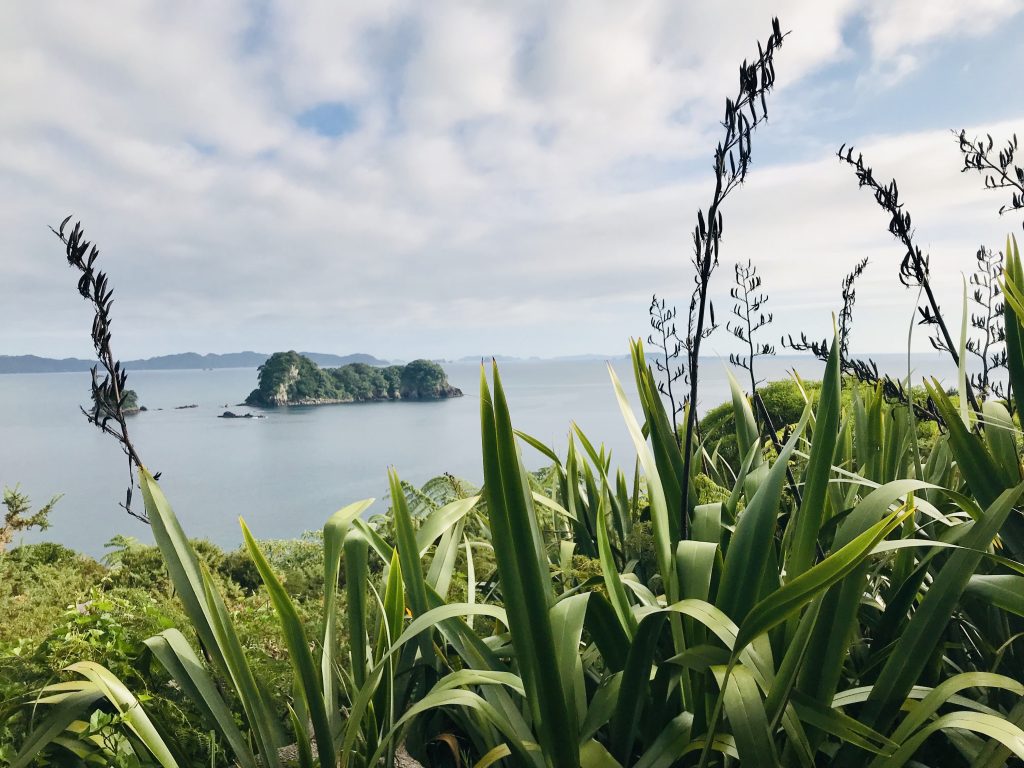 * where is cathedral cove * cathedral cove snorkeling * cathedral cove to auckland * cathedral cove beach new zealand * accommodation near cathedral cove * where is cathedral cove in new zealand *