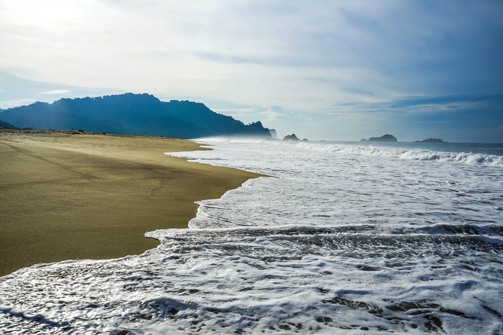 ** sukamade java ** sukamade schildpadden ** wisma sukamade ** sukamade beach banyuwangi ** sukamade indonesie ** sukamade beach java ** sukamade indonesia **