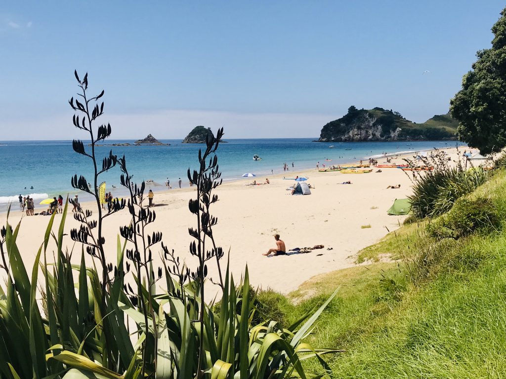 ** hahei backpackers ** hahei holiday park ** the church hahei ** hahei beach motels ** hahei holiday houses ** hahei new zealand camping ** holiday homes hahei beach **