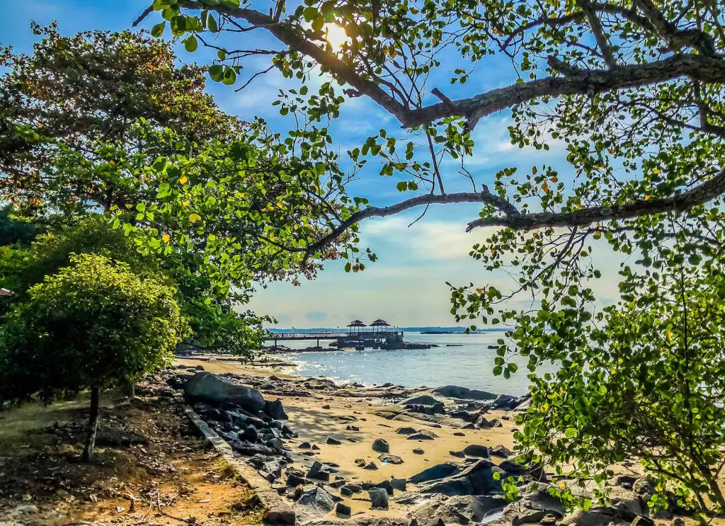 Pulau Ubin Nature Reserve