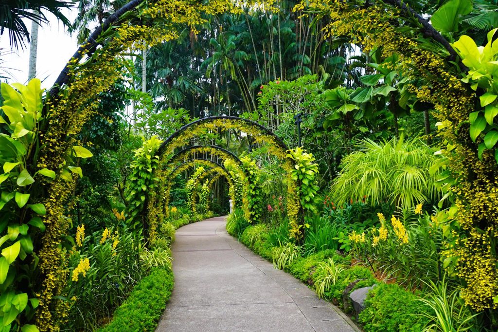 Singapore Botanic Gardens - Tanglin, Singapore