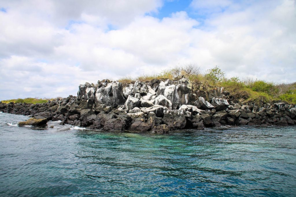 ** galapagos yacht ** 7 day galapagos cruise ** galapagos day tours ** galapagos islands day tours 