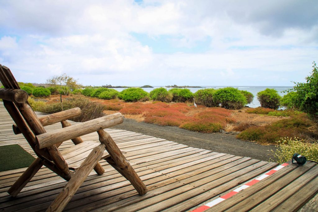  ** galapagos islands vacation package ** galapagos boats ** galapagos expeditions ** tour a galapagos ** galapagos tour operators ** best time to visit galapagos 