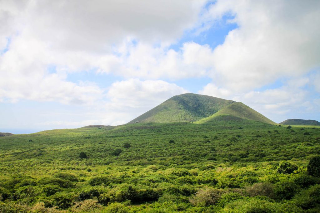 ** galapagos islands holidays ** galapagos islands trip ** best galapagos cruise ** galapagos tourism ** galapagos cruise ships