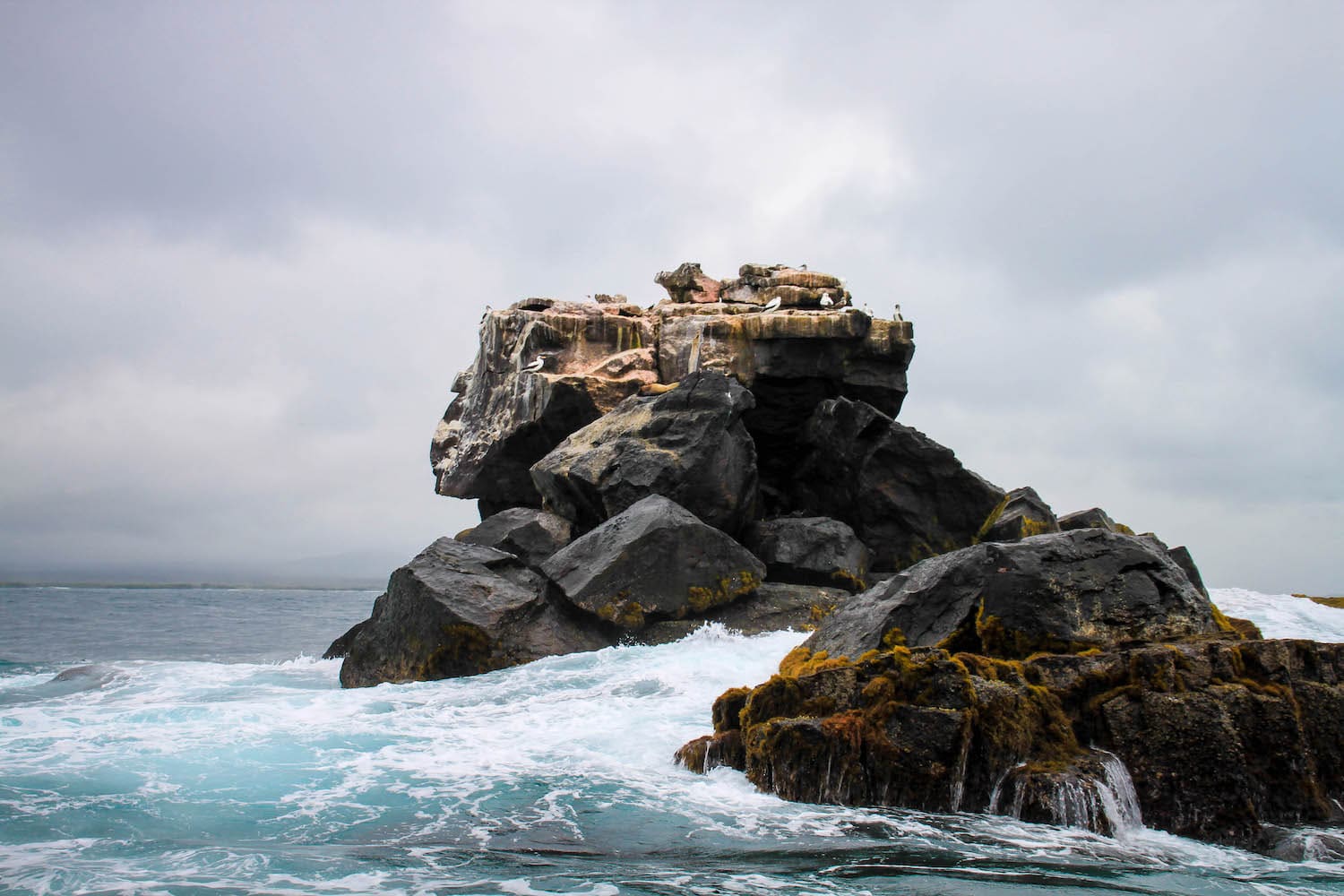 Choosing The Best Galapagos Islands Tour Itinerary: A Step-by-Step ...