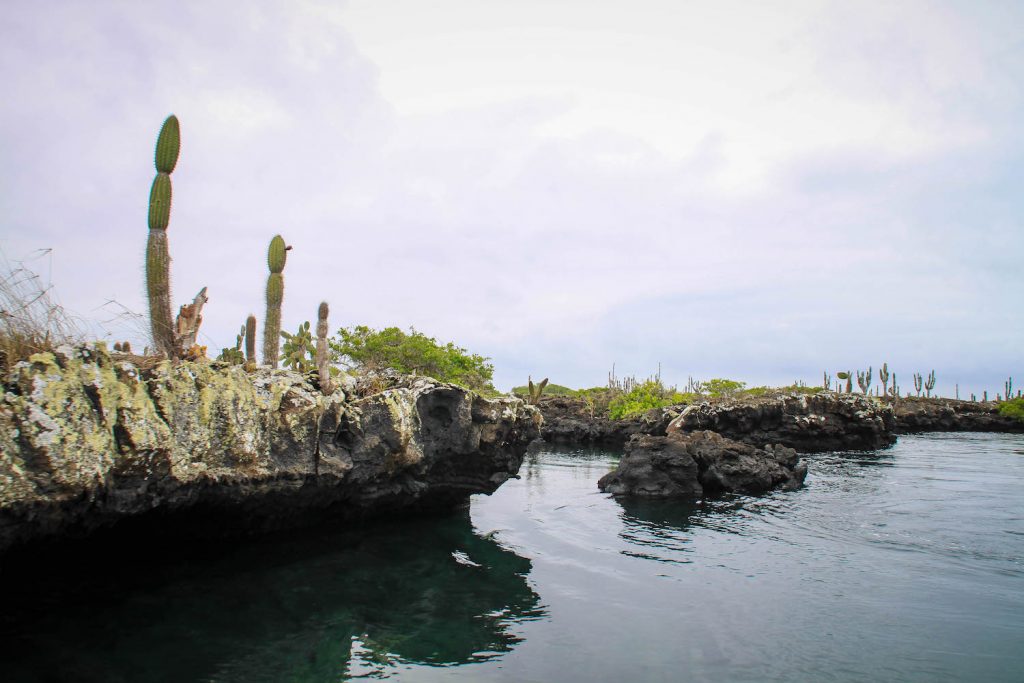 ** visit galapagos islands ** galapagos vacation ** galapagos islands cruise ** galapagos trip 