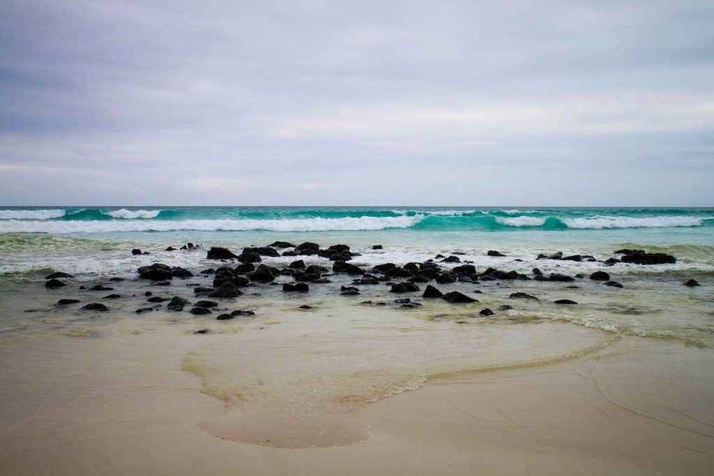 galapagos islands tour ** galapagos islands travel ** galapagos islands tourism ** galapagos islands vacation 