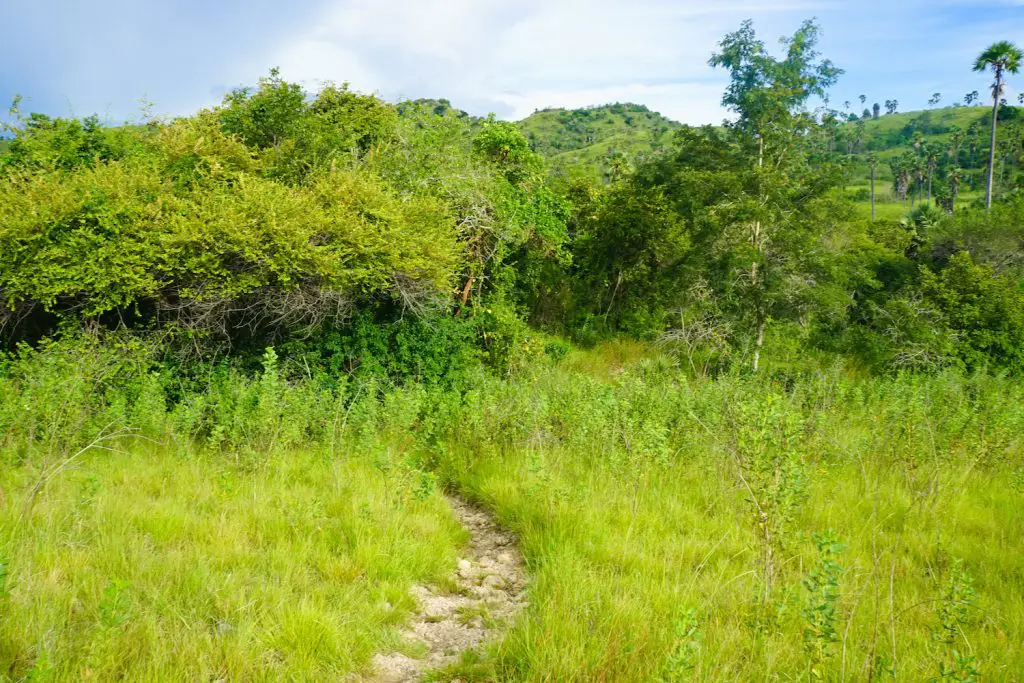 flores komodo tour itinerary ** komodo tour ** komodo trip ** tour labuan bajo ** komodo tour package ** flores tour 