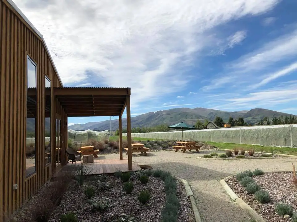 Maori Point Vineyard