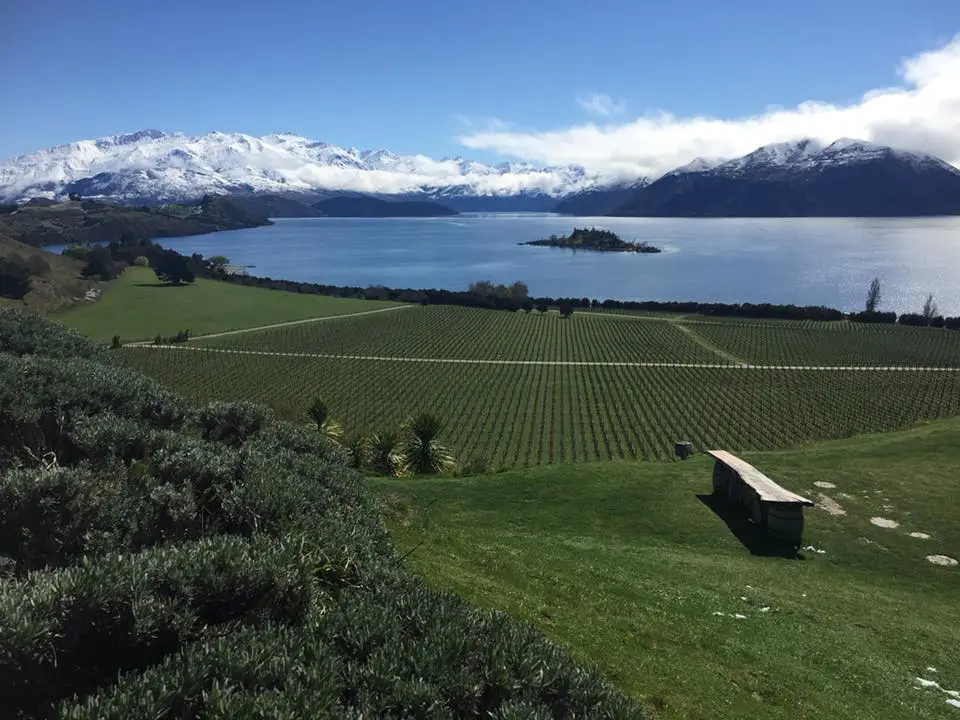  Rippon Vineyard Queenstown