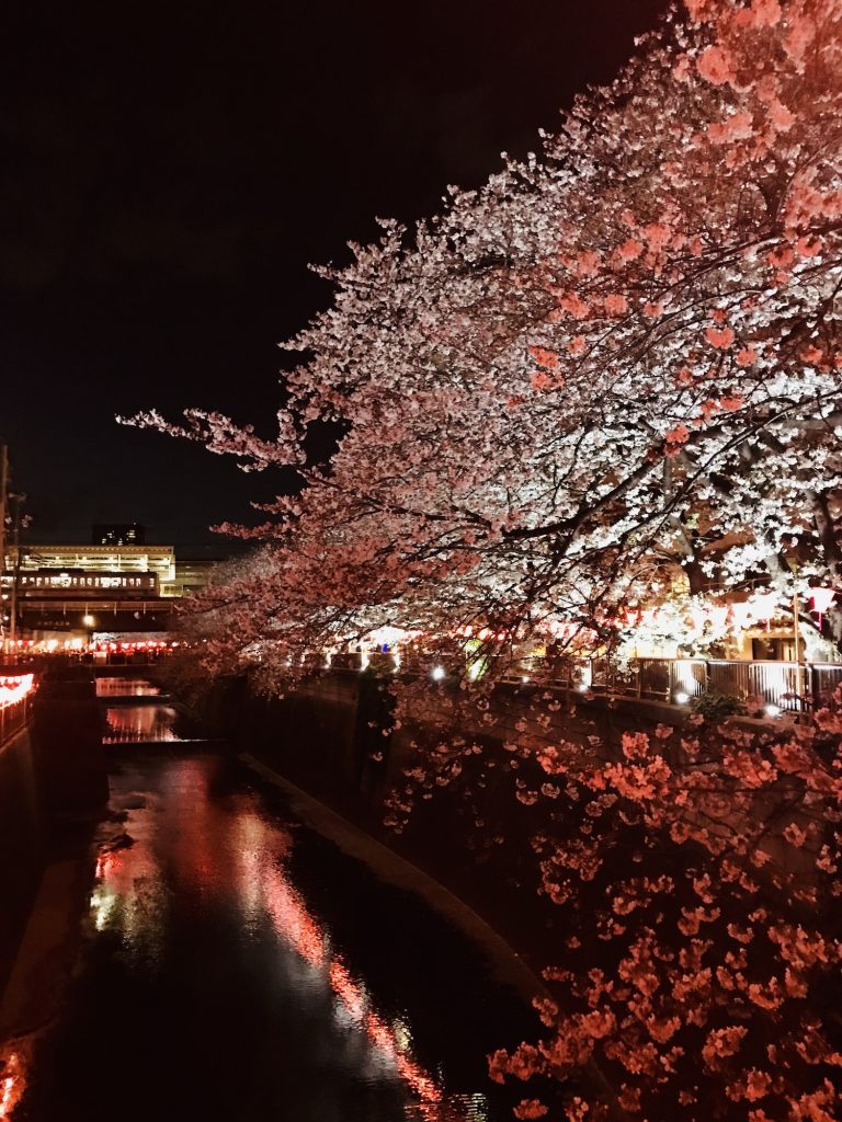 Fall In Love All Over Again With These Romantic Things To Do In Tokyo