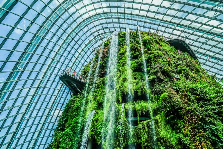 A Full Gardens By The Bay Singapore Review: What You Need To Know ...