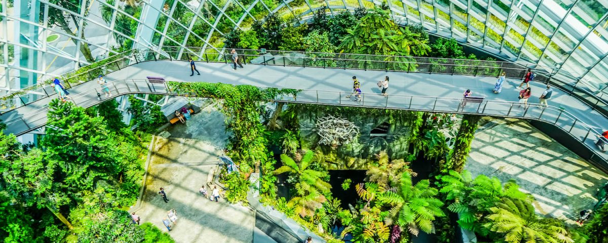 A Full Gardens By The Bay Singapore Review What You Need To Know Inspired By Maps