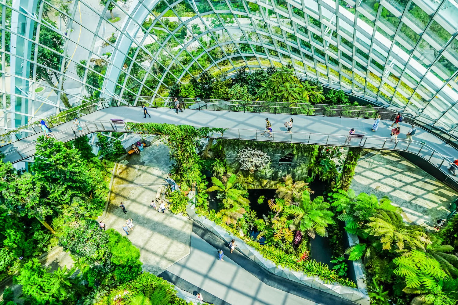 A Full Gardens By The Bay Singapore Review: What You Need To Know
