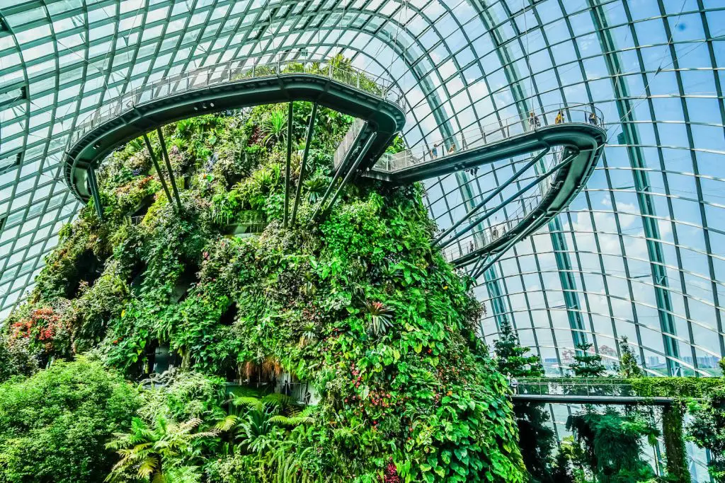 A Full Gardens By The Bay Singapore Review: What You Need To Know