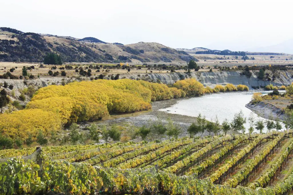 Swallows Crossing Wineyard