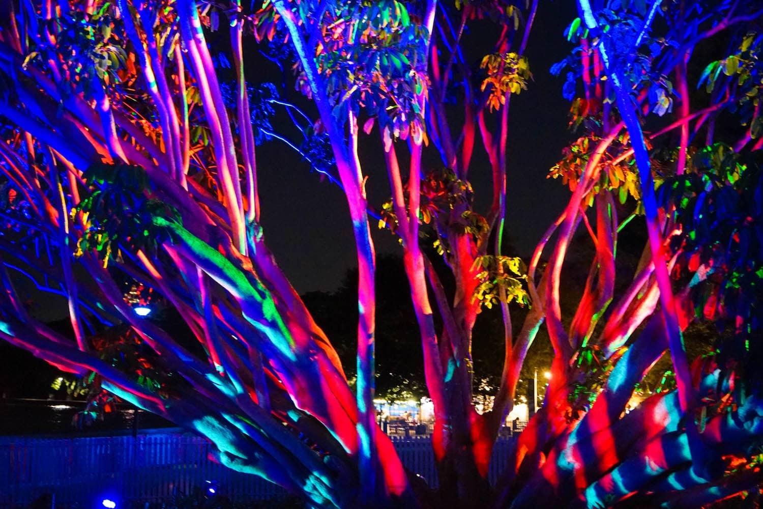 what-is-vivid-sydney-and-should-you-plan-your-travels-around-it