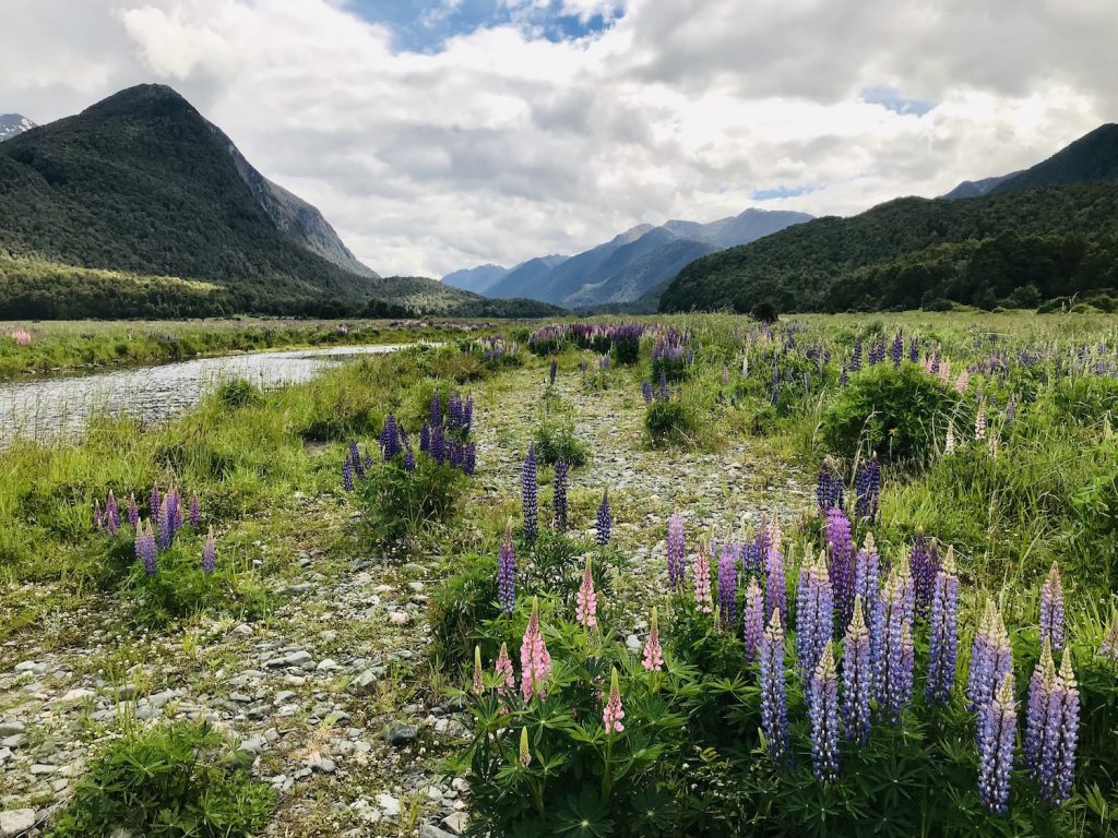 ** drive from queenstown to milford sound how long ** milford sound self drive ** te anau to queenstown drive time ** drive queenstown to milford sound how long **