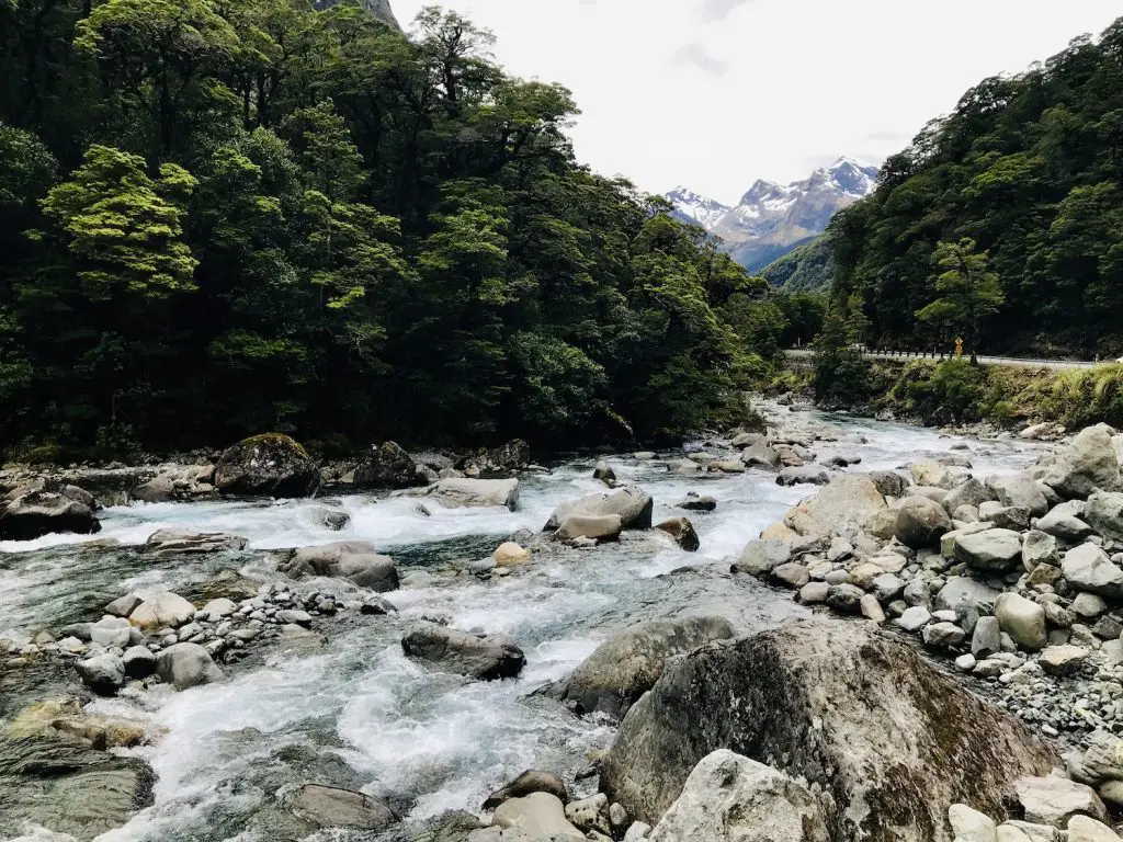 ** self drive day trips from queenstown ** te anau to milford sound drive ** queenstown to milford sound drive time ** how long to drive from queenstown to milford sound ** drive time queenstown to milford sound 