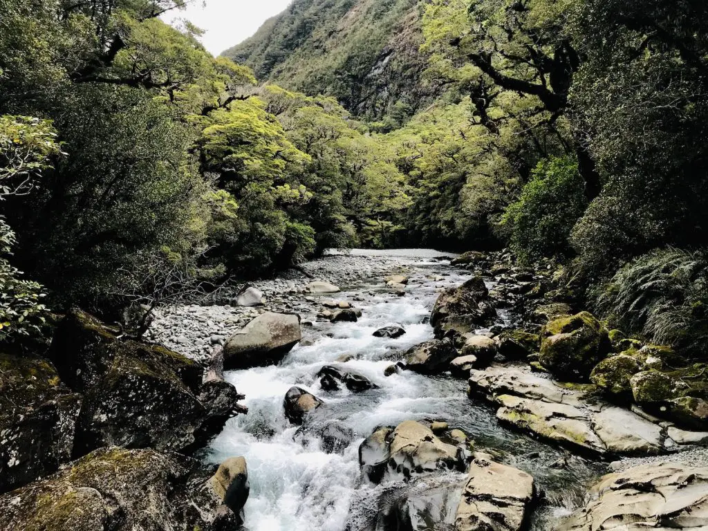 ** te anau to milford sound drive time ** how far to drive from queenstown to milford sound ** milford sound drive from queenstown ** how long is the drive from queenstown to milford sound ** te anau to milford sound self drive ** te anau to queenstown drive 