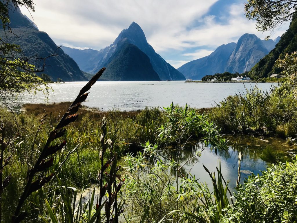 ** self drive day trips from queenstown ** te anau to milford sound drive ** queenstown to milford sound drive time ** how long to drive from queenstown to milford sound ** drive time queenstown to milford sound 