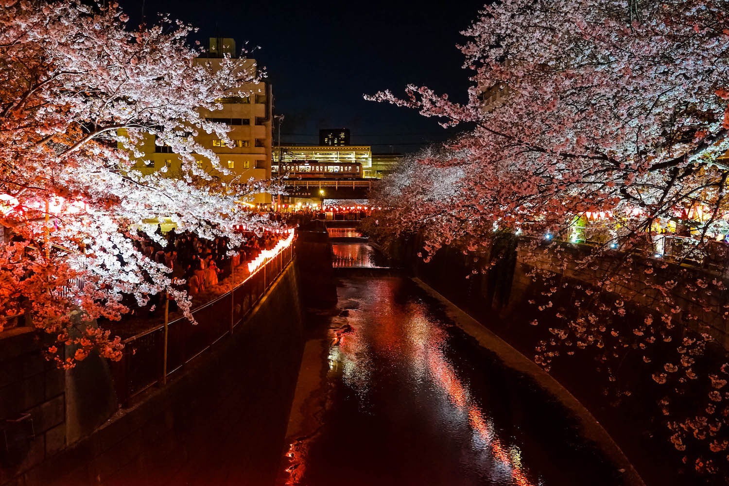 15 Cute Things To Do In Tokyo Japan Let S Get Kawaii Inspired By Maps