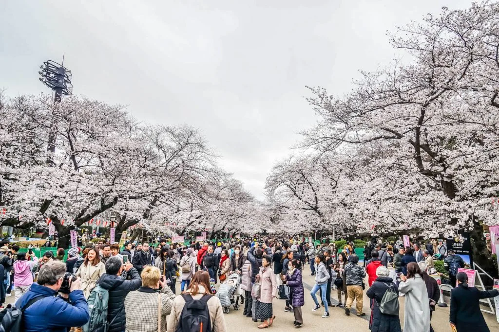 14 day japan itinerary ** japan travel itinerary 14 days ** 14 days in japan ** japan trip itinerary 14 days ** japan two week itinerary ** 14 day tour of japan ** 12 day japan itinerary ** 12 days in japan ** 14 day trip to japan **