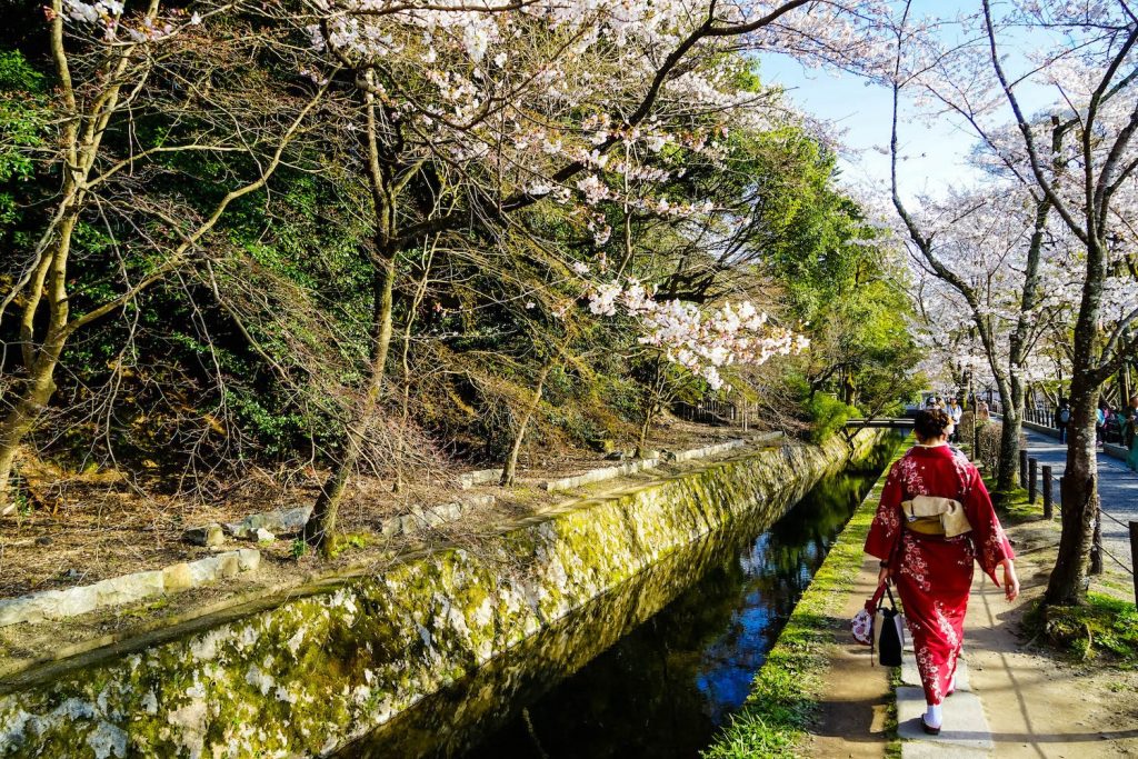 13 Fun Things To Do In Kyoto: The City of a Thousand Secrets ⛩