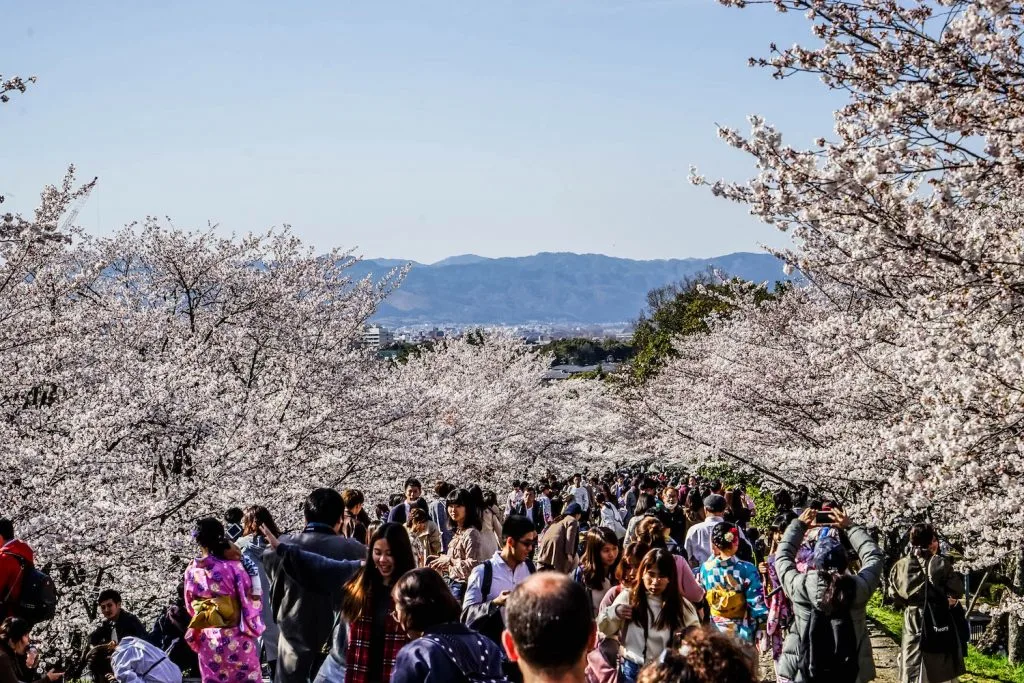 kyoto tourist attractions ** kyoto sightseeing ** kyoto attractions ** what to do in kyoto ** things to see in kyoto **