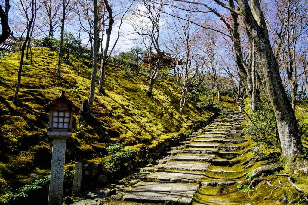 fun things to do in Kyoto