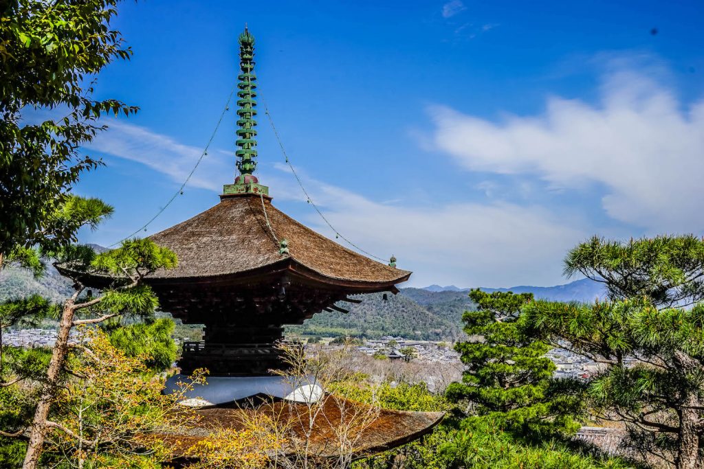 fun things to do in Kyoto