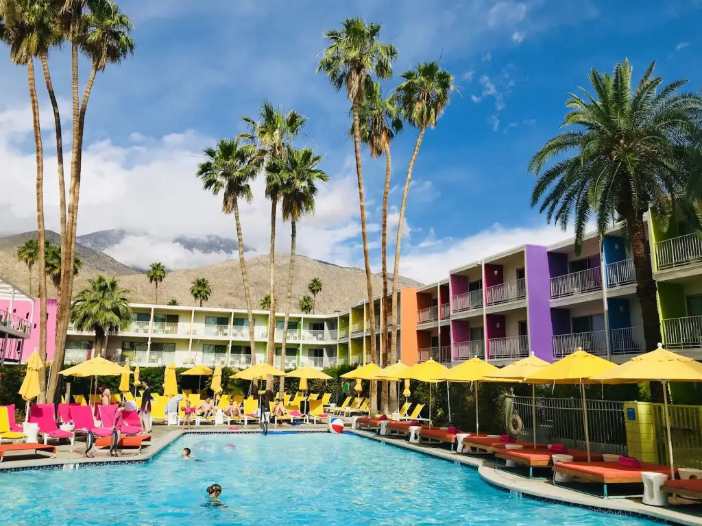 Colourful Saguaro Palm Springs