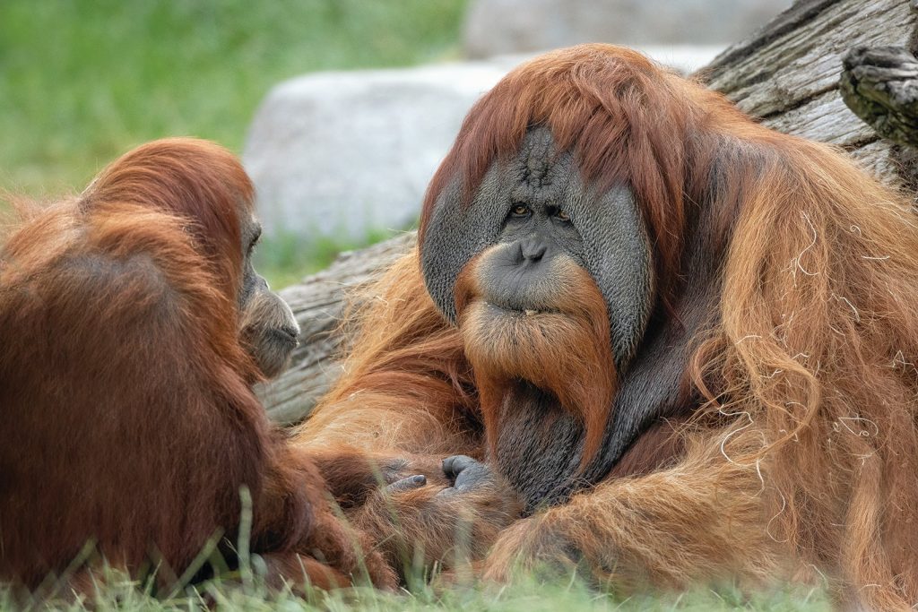 San Diego Zoo