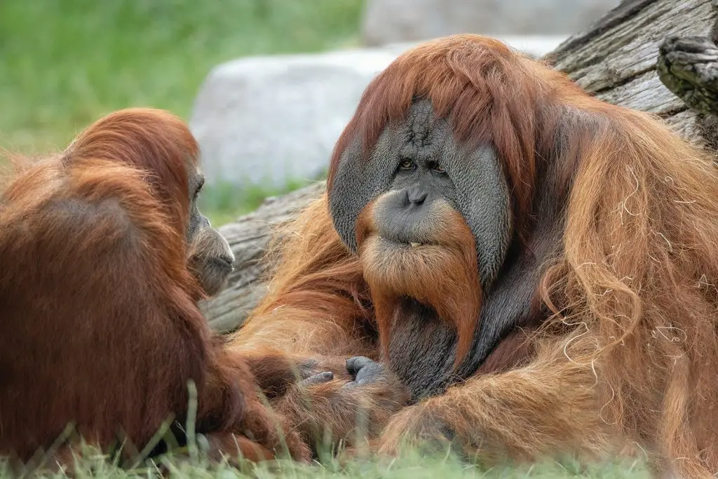 San Diego Zoo