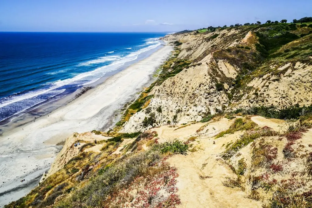 Torrey Pines State Reserve