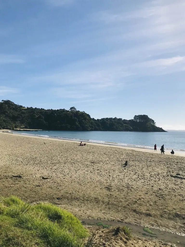  waiheke day trip itinerary ** waiheke island day trip itinerary ** waiheke island vineyard tour ** waiheke island new zealand ** visit waiheke island ** waiheke island restaurants ** waiheke bus timetable ** 