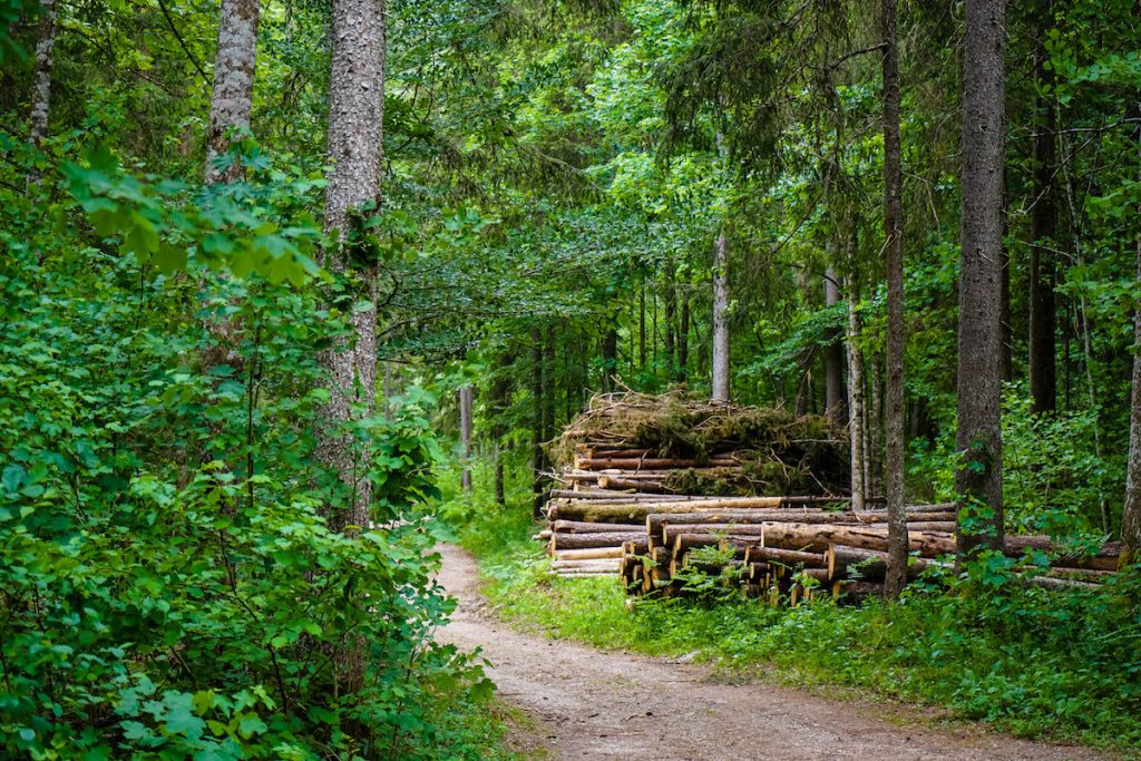 hiking in austria | walking holidays europe ** lakes in austria ** hiking in the alps ** summer hiking trips ** hiking in austria ** best places to hike in austria ** 