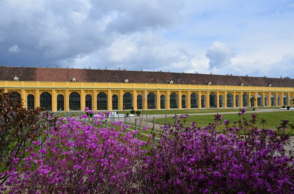 schonbrunn palace tour ** schonbrunn palace ticket price ** schonbrunn concert ** schonbrunn castle ** schonbrunn palace zoo ** schonbrunn wien ** schonbrunn palace history ** schonbrunn palace opening hours **