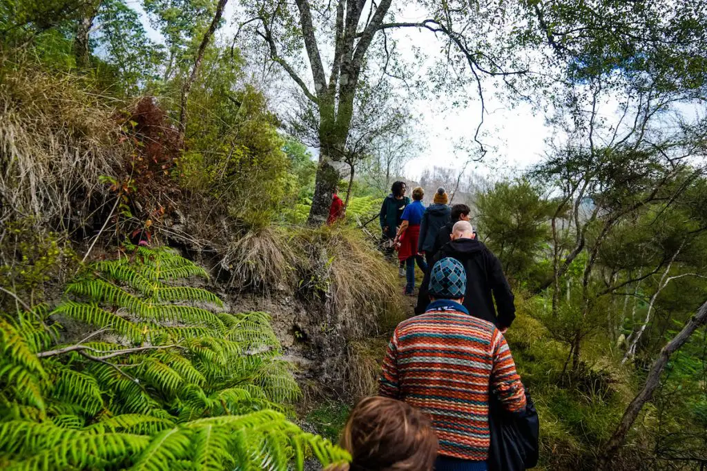 10 Fun Things To Do In Rotorua | Cultural Experiences, Wildlife And Hot Springs! 🇳🇿